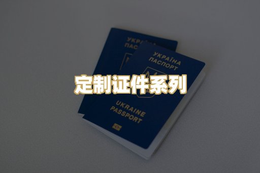 定制证件系列